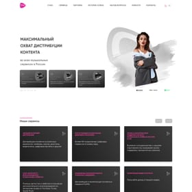 Screenshot of the music digital aggregator website